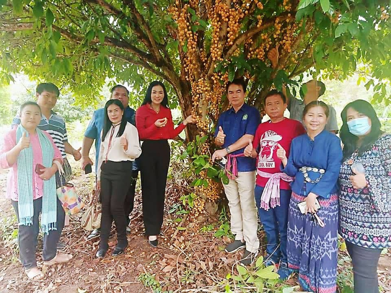 "เกษตรกรบ้านผาสิงห์" ทำการเกษตรพอเพียงตามแนวพระราชดำริ พัฒนาพึ่งตนเองเสริมรายได้สร้างอาชีพ