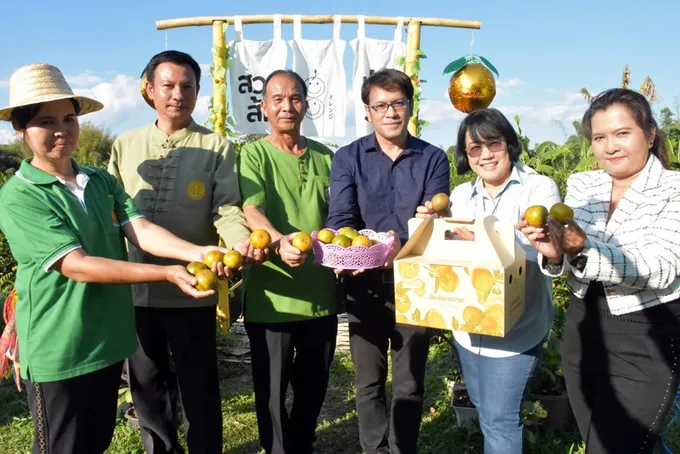 วช. ร่วมจัดงาน “ส้มสีทอง” จังหวัดน่าน ประจำปี 2565 ดันส้มสีทองสู่ตลาดสากล