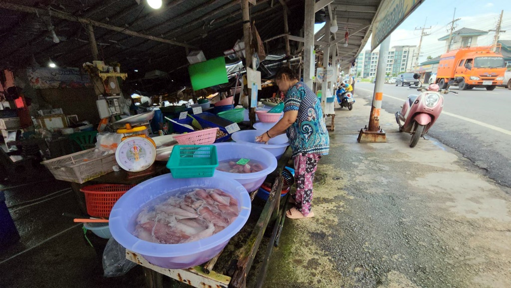 กลุ่มประมงเรือเล็กเก้ายอด วอน นทท.ช่วยซื้อปูม้า หลังช่วงนี้จับได้มาก
