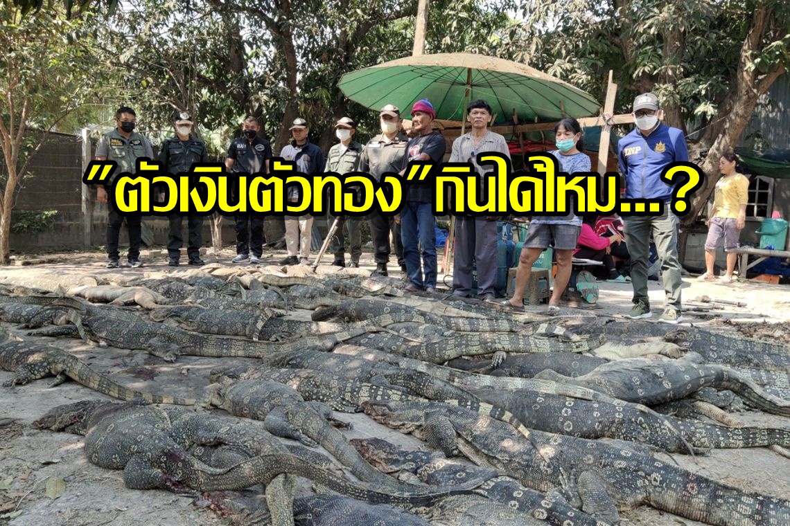 เปิดข้อสงสัย "ตัวเงินตัวทอง" กินได้ไหม...?