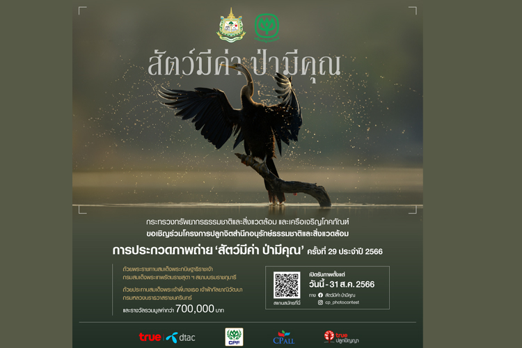 กระทรวงทรัพยากรฯ จับมือ เครือซีพี จัดประกวดภาพถ่าย ‘สัตว์มีค่า ป่ามีคุณ’ ครั้งที่ 29 ประจำปี 2566 ชิงรางวัลกว่า 700,000 บาท