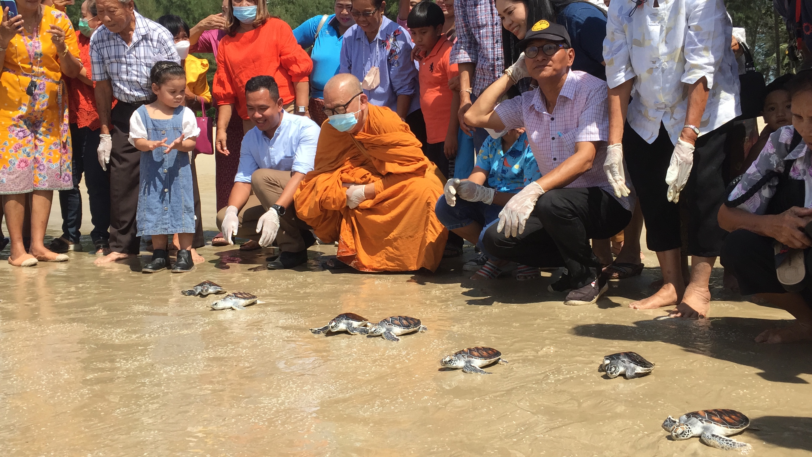 ชาวบ้านบางสัก อำเภอตะกั่วป่า จัดพิธีทำบุญลอยเรือสะเดาะเคราะห์และปล่อยเต่าตนุจำนวน 9 ตัวลงสู่ทะเลส่งท้ายปีเก่าต้อนรับปีใหม่ 