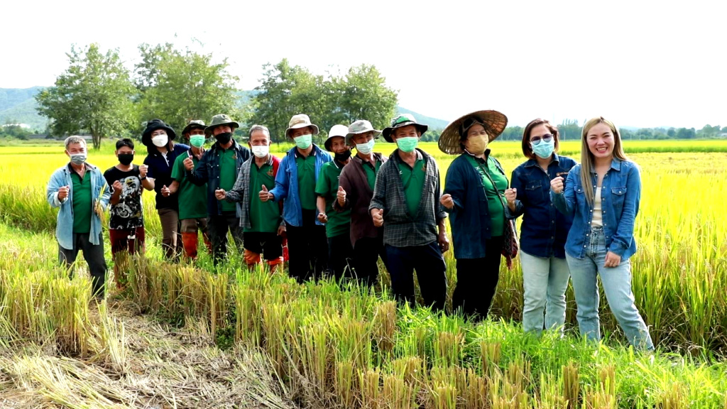 ศมข.เชียงใหม่ ดัน “กลุ่มผู้ผลิตเมล็ดพันธุ์ข้าว ต.ป่าสัก จ.ลำพูน” สู่ GAP Seed ทุกราย ผลผลิตมีคุณภาพ รายได้ดีขึ้น ชีวิตมั่นคง