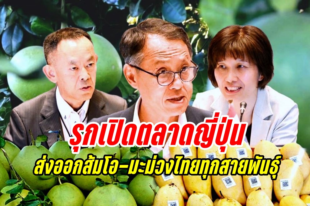 มกอช. เจรจาเกษตรฯ ญี่ปุ่น รุกเปิดตลาดส่งออกส้มโอ-มะม่วงไทยทุกสายพันธุ์