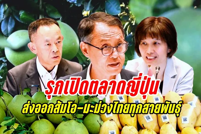 มกอช. เจรจาเกษตรฯ ญี่ปุ่น รุกเปิดตลาดส่งออกส้มโอ-มะม่วงไทยทุกสายพันธุ์