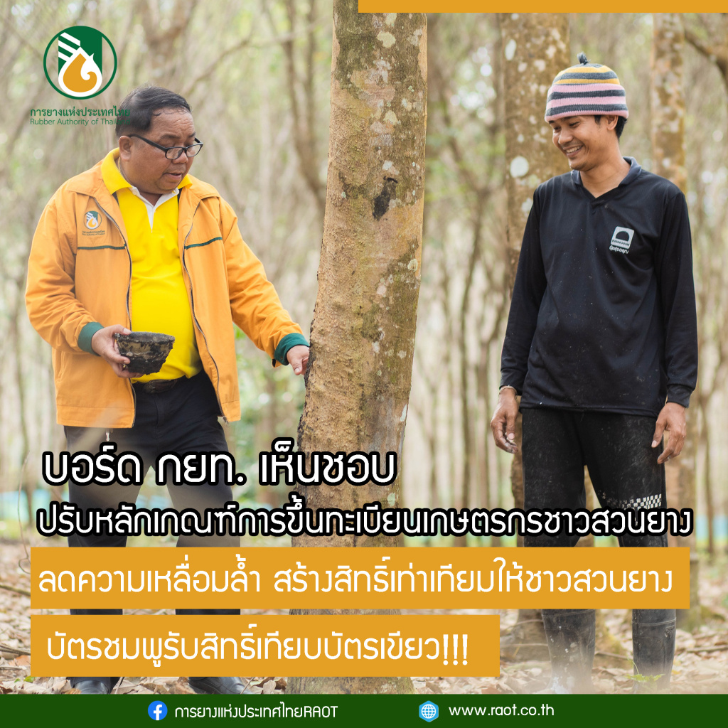 บอร์ด กยท. เห็นชอบปรับเกณฑ์ขึ้นทะเบียนเกษตรกรชาวสวนยาง ลดความเหลื่อมล้ำ 