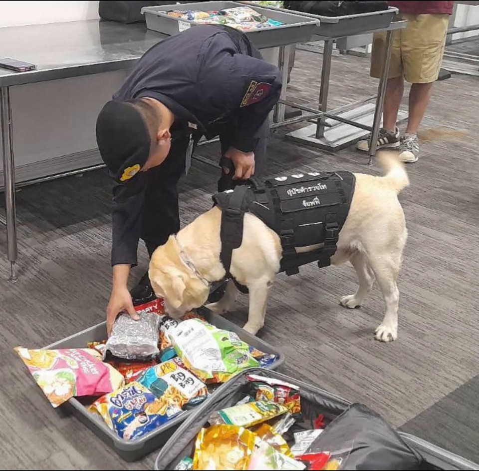 สุวรรณภูมิเข้ม! ตำรวจส่ง K9 ตรวจสัมภาระ สกัดขบวนการขนยาเสพติดข้ามชาติ 