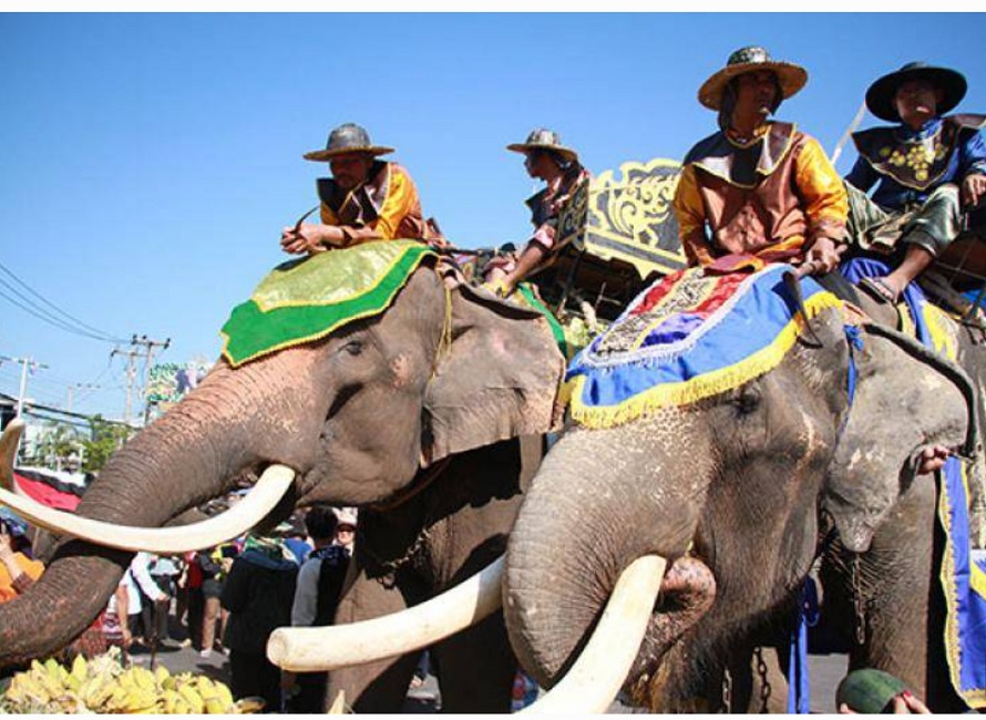 13 มีนาวันช้างไทย