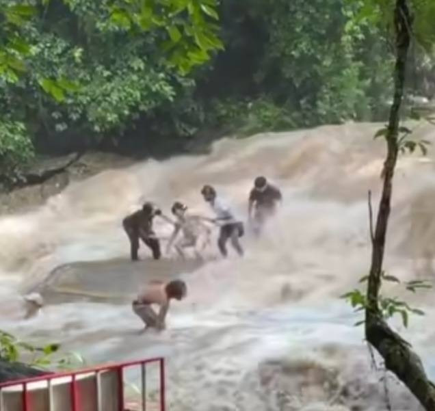 น้ำป่าทะลักน้ำตกแม่สา! นักท่องเที่ยวถูกกระแสน้ำพัด เจ้าหน้าที่เร่งช่วยปลอดภัยทั้งหมด