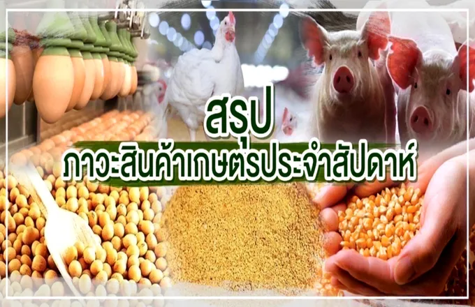 สรุปภาวะสินค้าเกษตรประจำสัปดาห์ วันที่ 13-17 กุมภาพันธ์ 2566