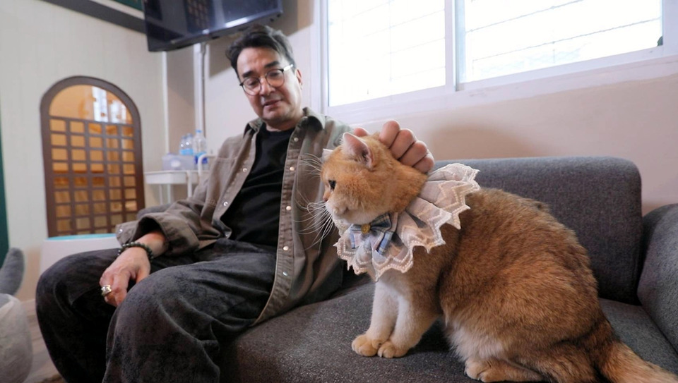 นีโน่ เมทนี พลิกบทคาสโนว่า สู่ทาสแมว เปิดโรงแรมแมวหรู “Cigar Cat”