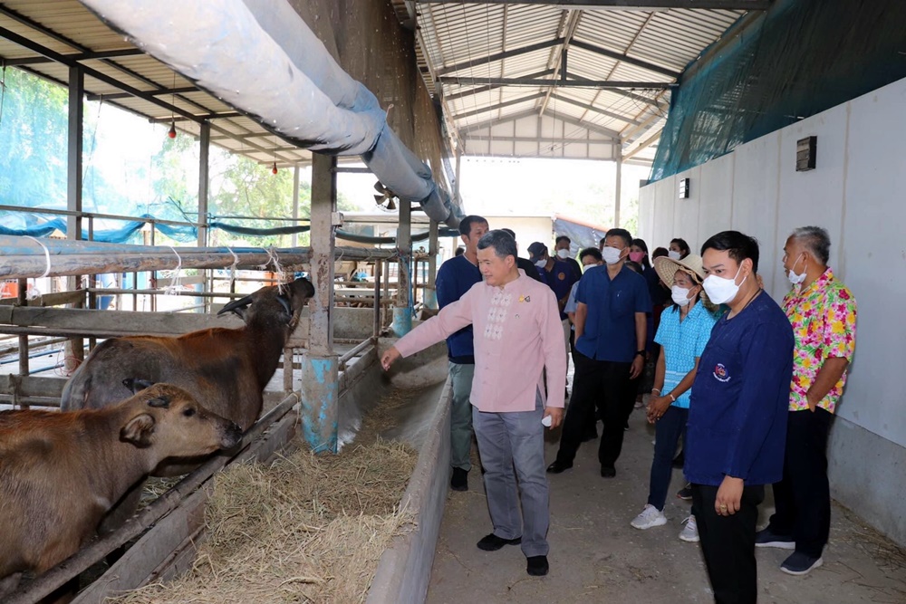 ปลัด มท. ตรวจเยี่ยมพื้นที่ต้นแบบการพัฒนาคุณภาพชีวิตตามหลักทฤษฎีใหม่ "โคก หนอง นา โมเดล" จ.อ่างทอง