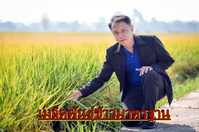 มกอช.ลุยยกระดับผลิตเมล็ดพันธุ์ข้าวมาตรฐาน เสริมความรู้ระบบควบคุมภายใน ICS 