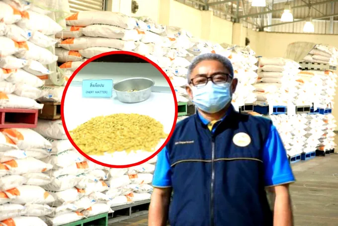 ศูนย์เมล็ดพันธุ์ข้าวขอนแก่น มุ่งวางแผนการตลาดเมล็ดพันธุ์กระจายสู่ชาวนาอย่างมีประสิทธิภาพ