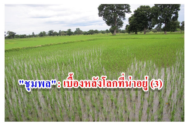 ชุมพล : เบื้องหลังโลกที่น่าอยู่ (3)