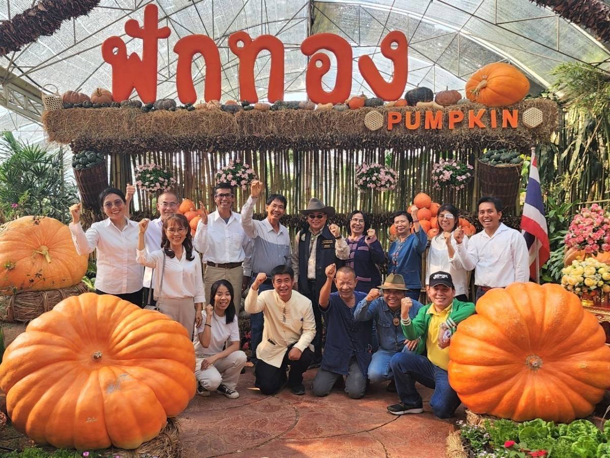 ผลงานศิษย์เก่าแม่โจ้  ปลูกฟักทองยักษ์หนัก 380 กิโลกรัม ทุบสถิติประเทศไทย 