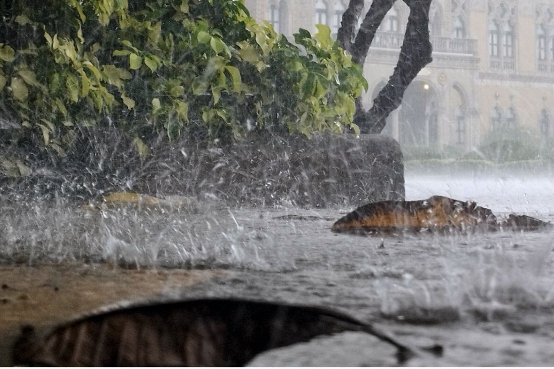 พกร่มด้วยจ้า! "กทม." เตือน วันนี้มีฝนฟ้าคะนอง ร้อยละ 80 ของพื้นที่ 