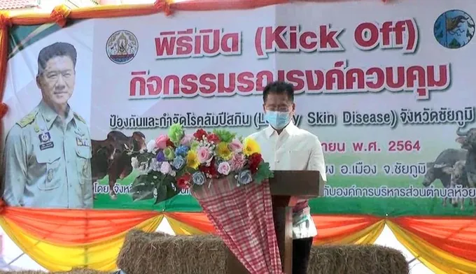 ชัยภูมิKick Off รณรงค์ป้องกันควบคุมกำจัดวัวควายไม่ตายใช้ภูมิปัญญาสมุนไพรไล่พาหะแพร่เชื้อลัมปีสกิน