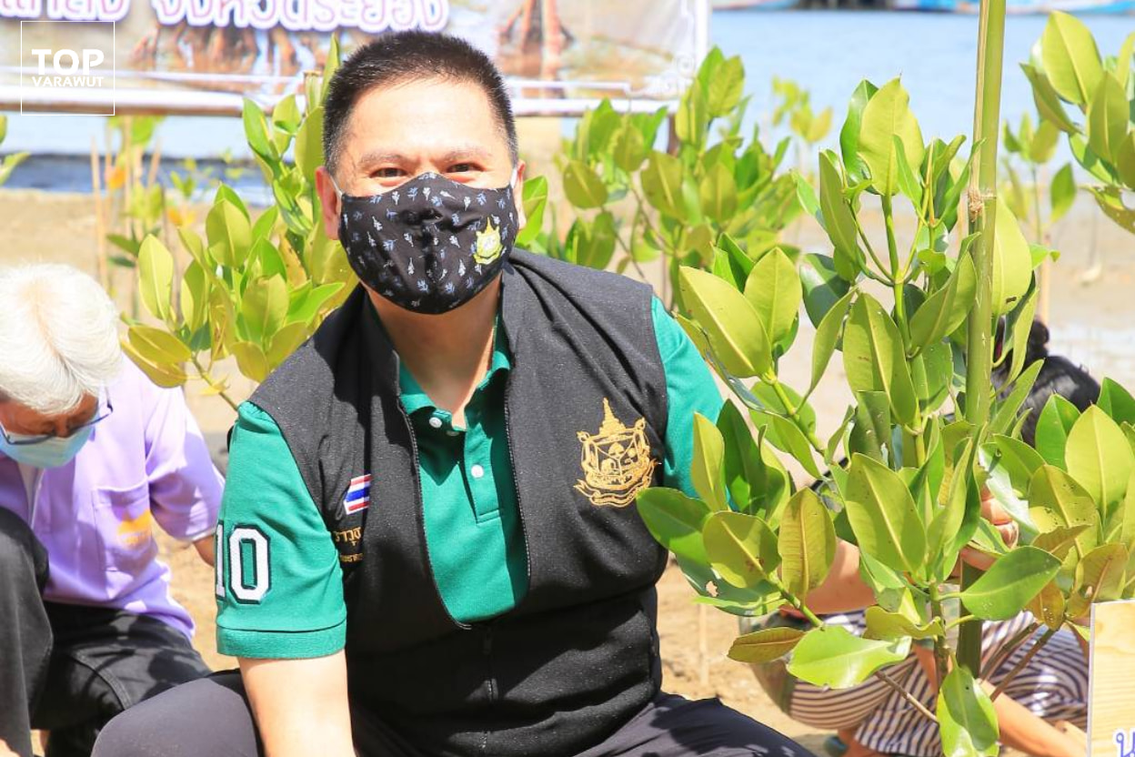 วันป่าชายเลนแห่งชาติ 'วราวุธ' ชวนลดทิ้งขยะ อนุรักษ์ป่าชายเลน