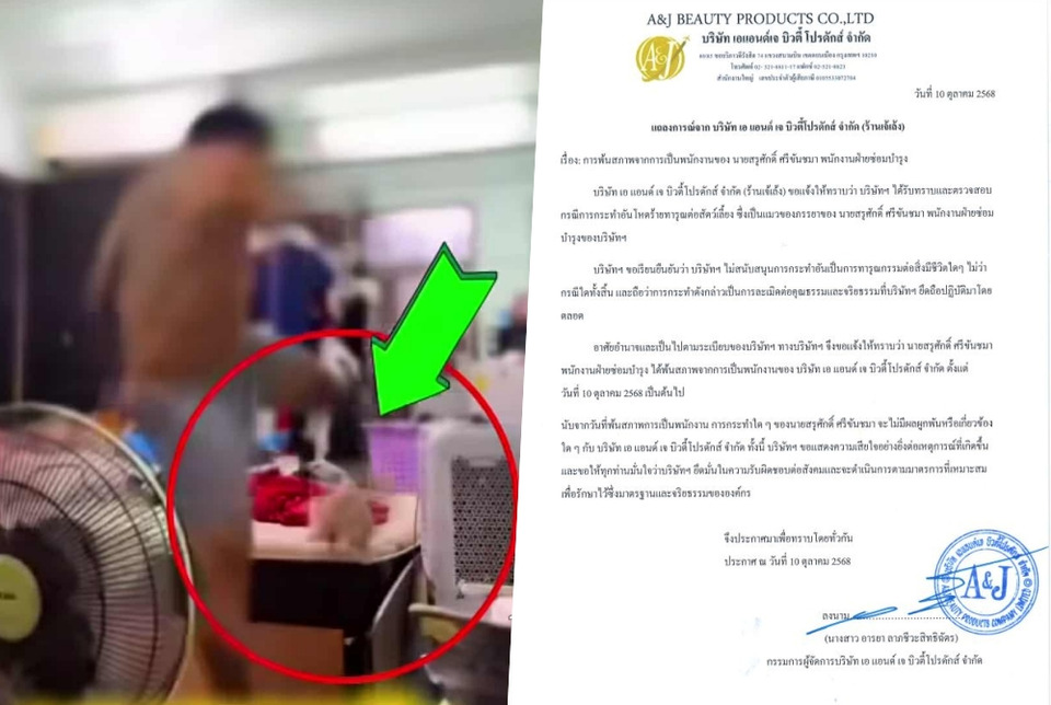 ปลดฟ้าผ่า! "ร้านเจ้เล้ง" ไล่พนักงานออกเซ่นคลิปโหดเตะแมว