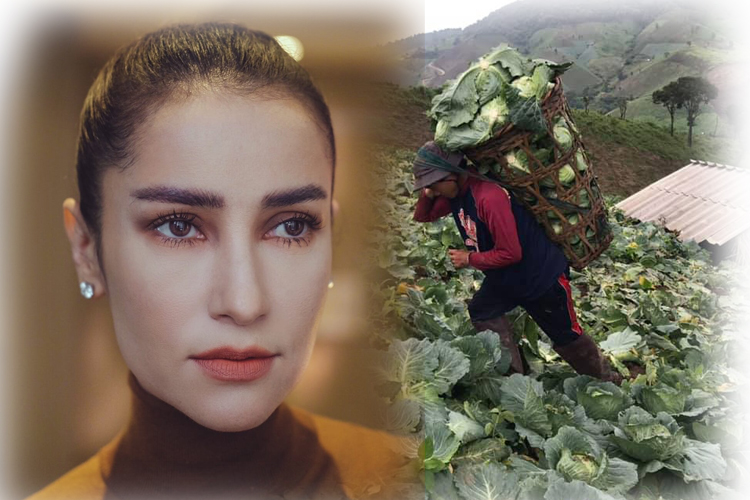 จิตใจงาม! 'แอน ทองประสม'โพสต์เรื่องราวดีๆ ช่วยซื้อกะหล่ำปลีชาวบ้านบนดอย