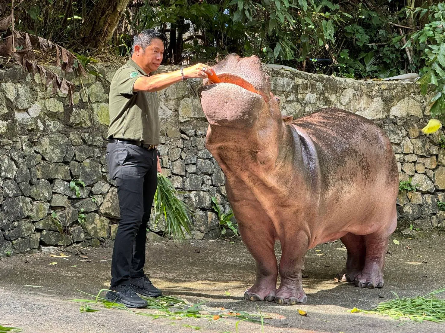 94039 0