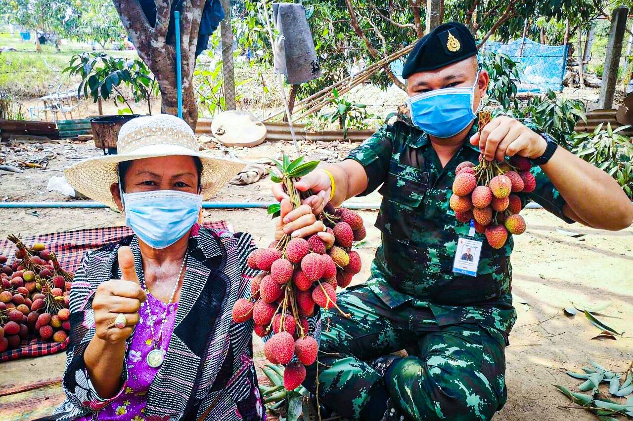 ร.3 พัน.3 ค่ายพระยอดเมืองขวางช่วยประชาชน... “ซับน้ำตาพี่น้องเกษตรกรผู้ปลูกลิ้นจี่นครพนม” จากสถานการณ์การแพร่ระบาดของไวรัส COVID-19 
