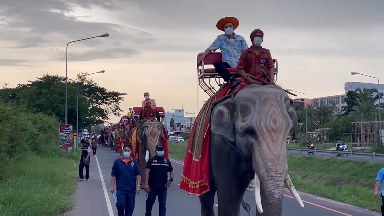สุรินทร์ต้อนรับยิ่งใหญ่นักกีฬาซีเกมส์นั่งช้างกว่า 20 เชือกแห่รอบเมือง