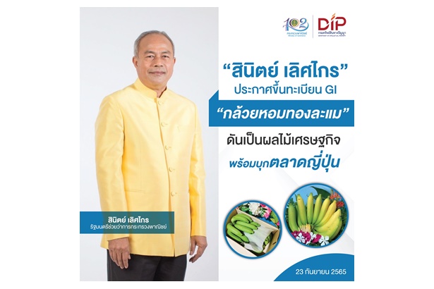 พาณิชย์ขึ้นทะเบียน GI “กล้วยหอมทองละแม” ดันเป็นผลไม้ ศก.-บุกตลาดญี่ปุ่น