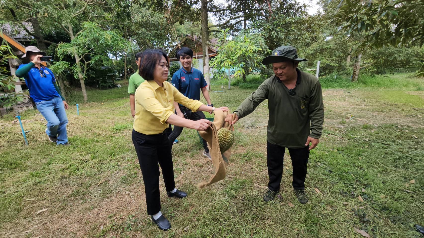 พ่อเมืองระยอง โชว์ตัดลูกทุเรียนจากต้น เป็นการยืนยันทุเรียนเริ่มออกสู่ตลาดแล้ว