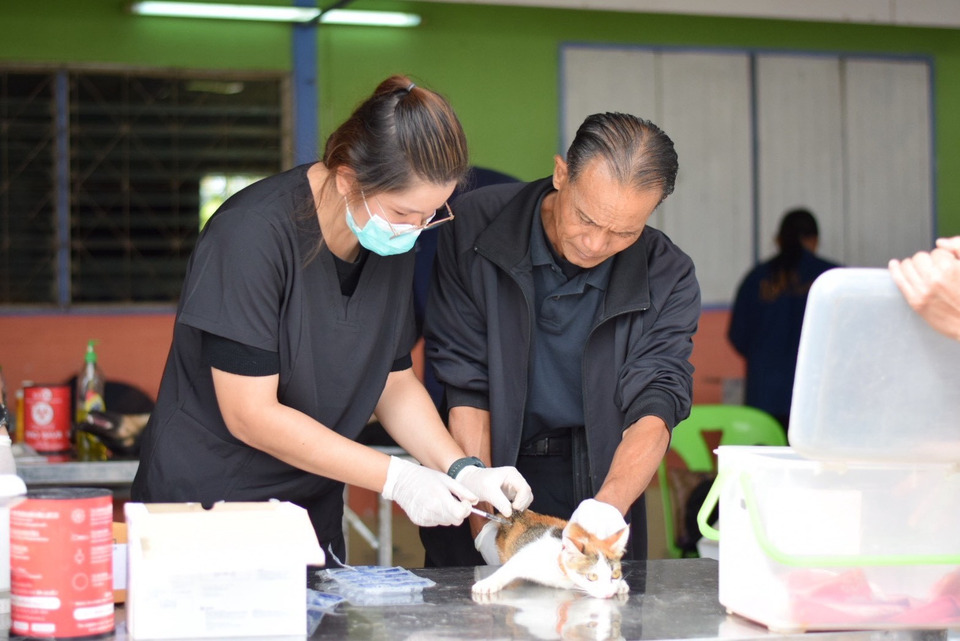 ปศุสัตว์ชัยภูมิลงพื้นที่ภูเขียว ทำหมันสุนัข–แมวฟรีกว่า 80 ตัว พร้อมมอบเวชภัณฑ์และไข่ไก่ช่วยเกษตรกร