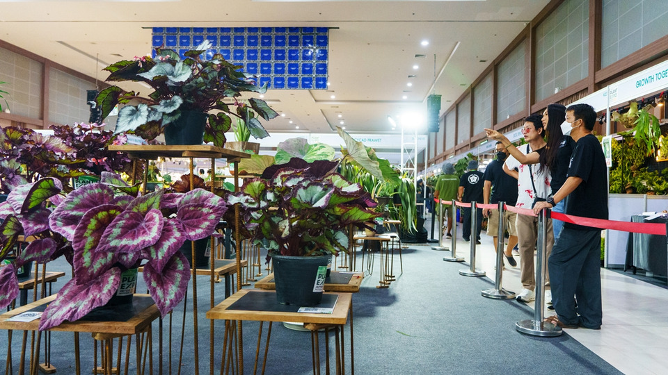 สวนนงนุชพัทยาจัด “NongNooch Plant Expo International 2026” รวมพันธุ์ไม้กว่า 25 กลุ่ม