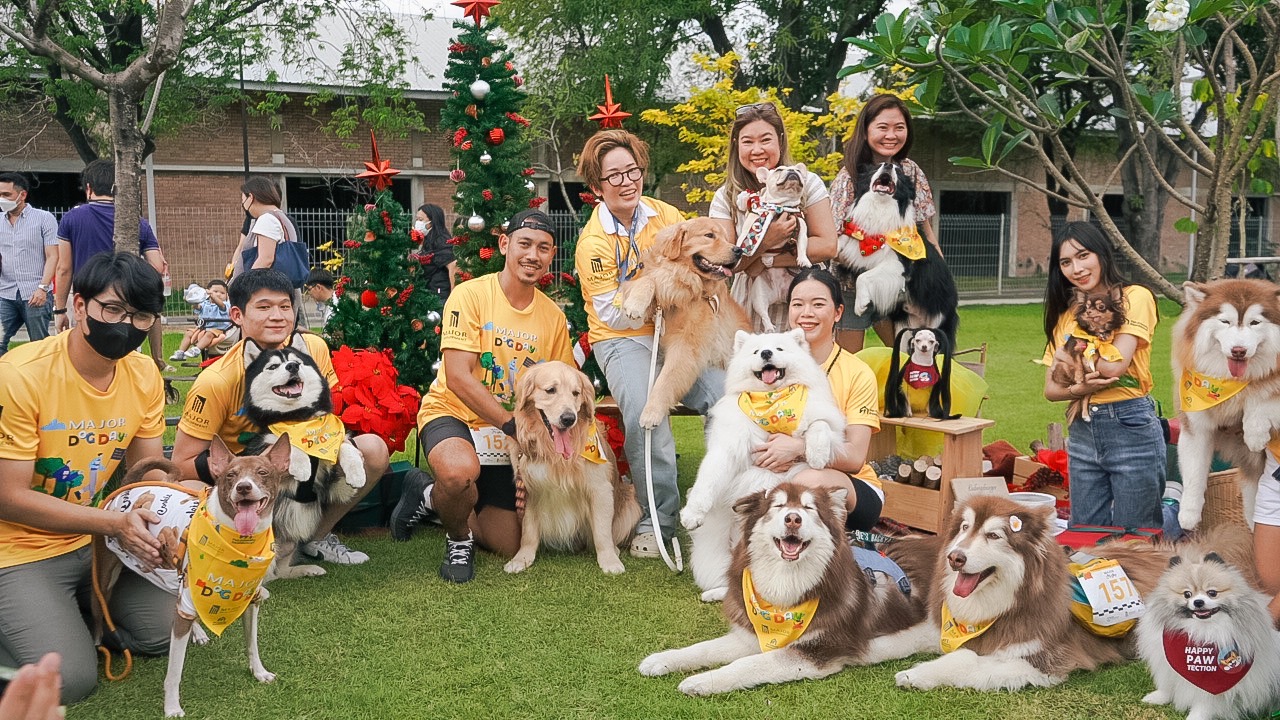 “เมเจอร์ ดีเวลลอปเม้นท์” ชวน Pet Lover อวดโมเม้นท์ดีๆกับสัตว์เลี้ยงแสนรักผ่าน TikTok 