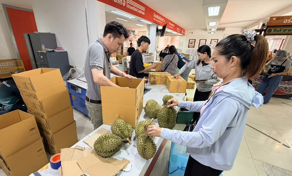 ไปรษณีย์ตราดคึกคัก! ชาวสวนส่งทุเรียนพุ่งวันละ 1,000 กล่อง แพ็กมาตรฐาน–ถึงปลายทาง 1-3 วัน