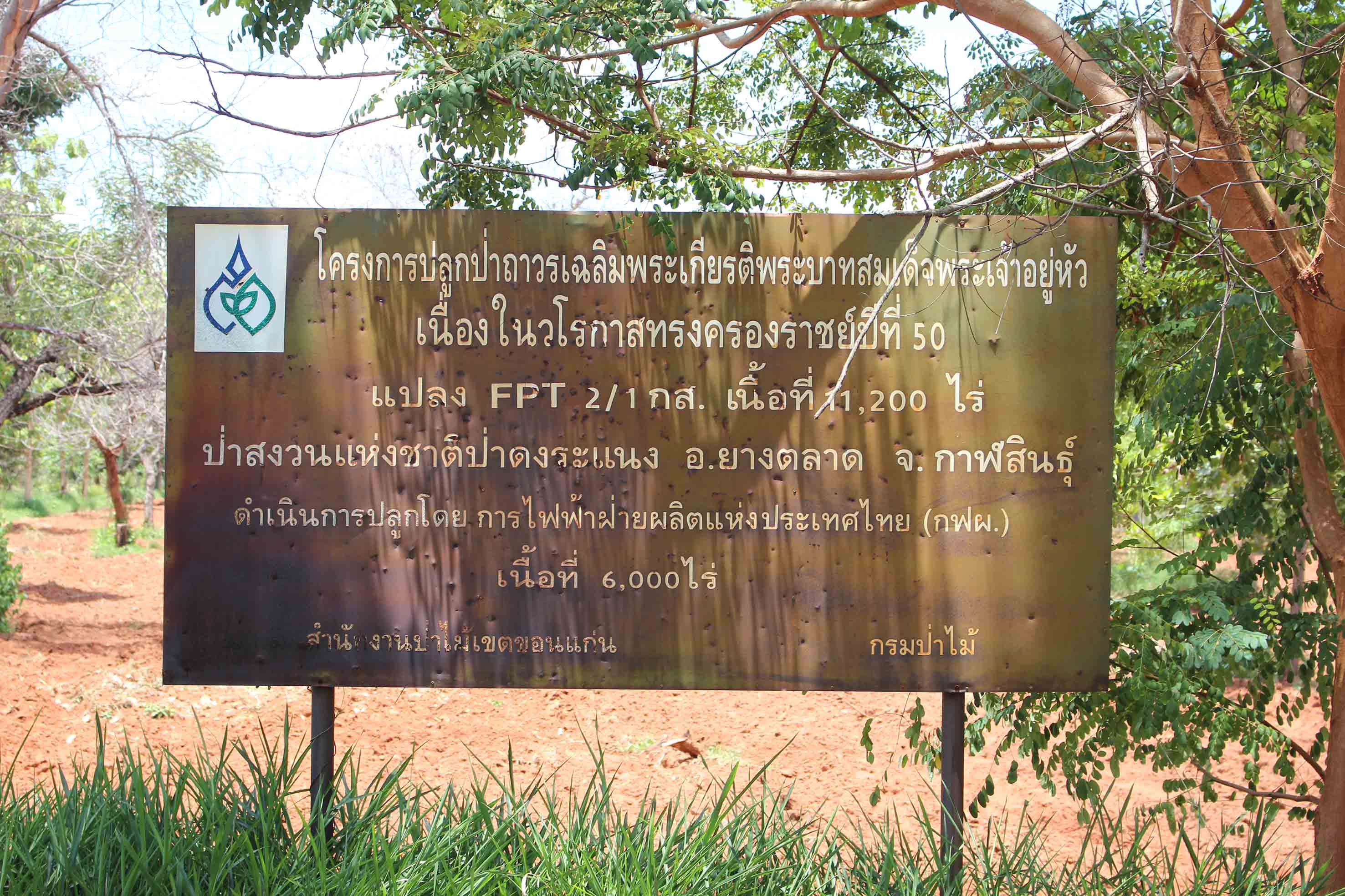 กาฬสินธุ์รถถังไปรถไถมาร้องตรวจสอบป่าสงวนแห่งชาติดงระแนงบุกรุกหลายร้อยไร่