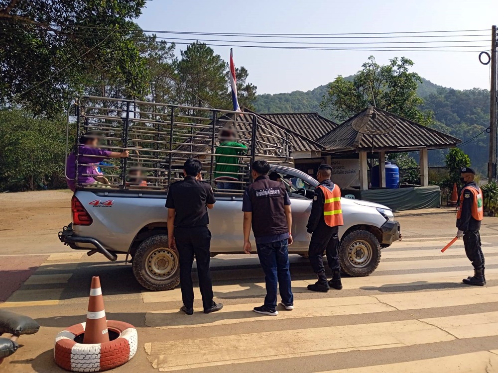 ด่านกักกันสัตว์ ตั้งจุดตรวจลำเลียงสัตว์ออกจากแม่ฮ่องสอน ไม่พบโรคระบาด