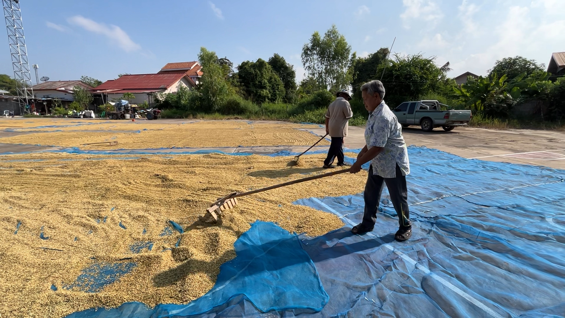 ผู้ว่าฯขอนแก่น เปิดลานหน้าอำเภอ-โรงพักและสถานที่ราชการทั้งจังหวัดให้ชาวนาตากข้าว