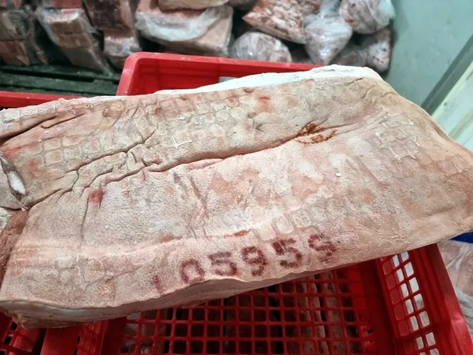 “หมูเถื่อน” ล่องใต้ ผู้เลี้ยงโวย หมูไทยขาดทุนยับ