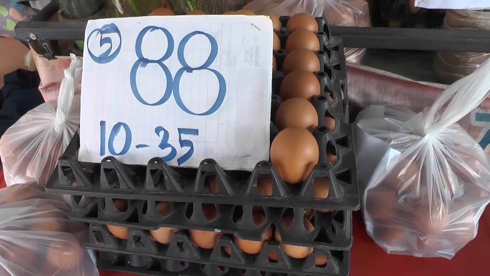 "ชัยภูมิ" อ่วมต่อ​ ปรับราคาไข่ไก่แผงละ 3 บาท เหตุต้นทุนสูงขึ้น