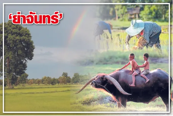 ย่าจันทร์