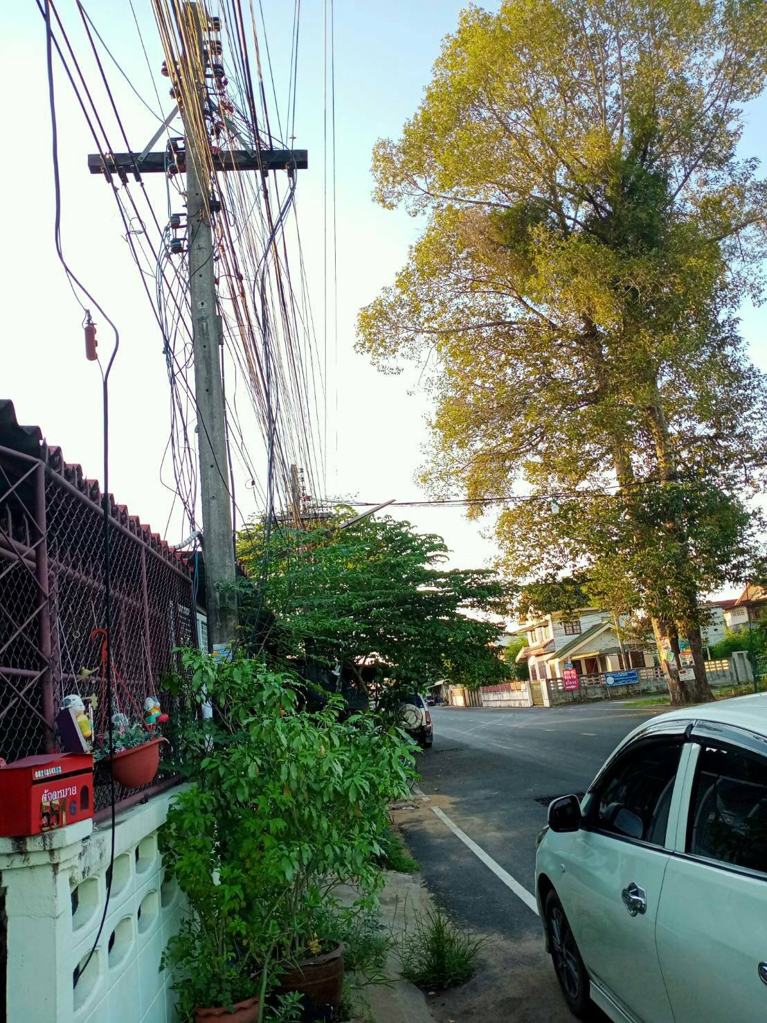 ปชช.เขตเทศบาลเมืองยโสธรผวาสายไฟห้อยโตงเตง​ หวั่นเกิดอันตรายจากฝนฟ้าคะนอง