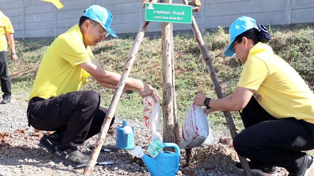 อบต.ช่องสาริกา พร้อมใจปลูกต้นไม้มงคล เนื่องในวันคล้ายวันพระบรมราชสมภพ ในหลวง ร.9 วันชาติ และวันพ่อแห่งชาติ