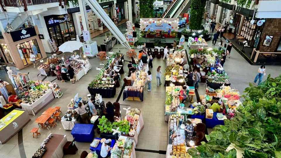 สายเฮลตี้ห้ามพลาด! Bangkok Farmers Market คึกคัก ขนผัก-ผลไม้สดปลอดสารจากสวนอินทรีย์ ที่เดอะไนน์ พระราม 9