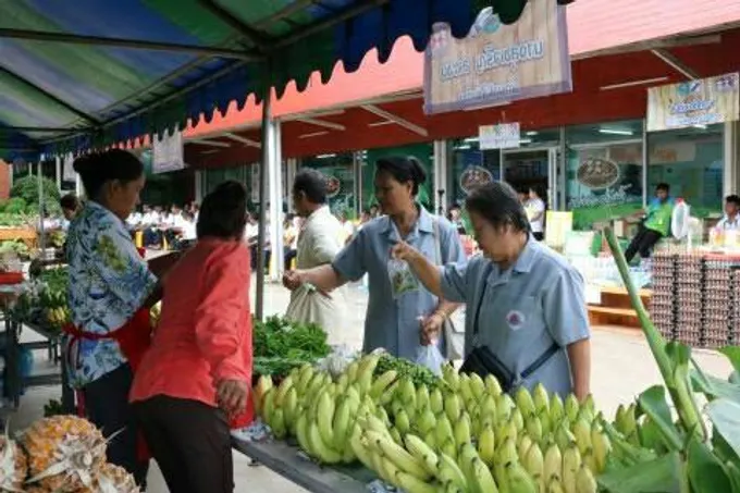 โคราช เปิดตลาดนัดเพื่อเกษตรกร สนับสนุนสินค้าเกษตรปลอดภัย