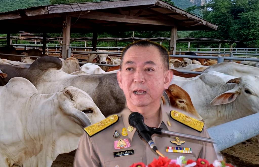 ข่าวดี!! ครม.ไฟเขียวงบกลาง 1,188 ล. เยียวยาเกษตรกรผู้เลี้ยงหมู และโค-กระบือ