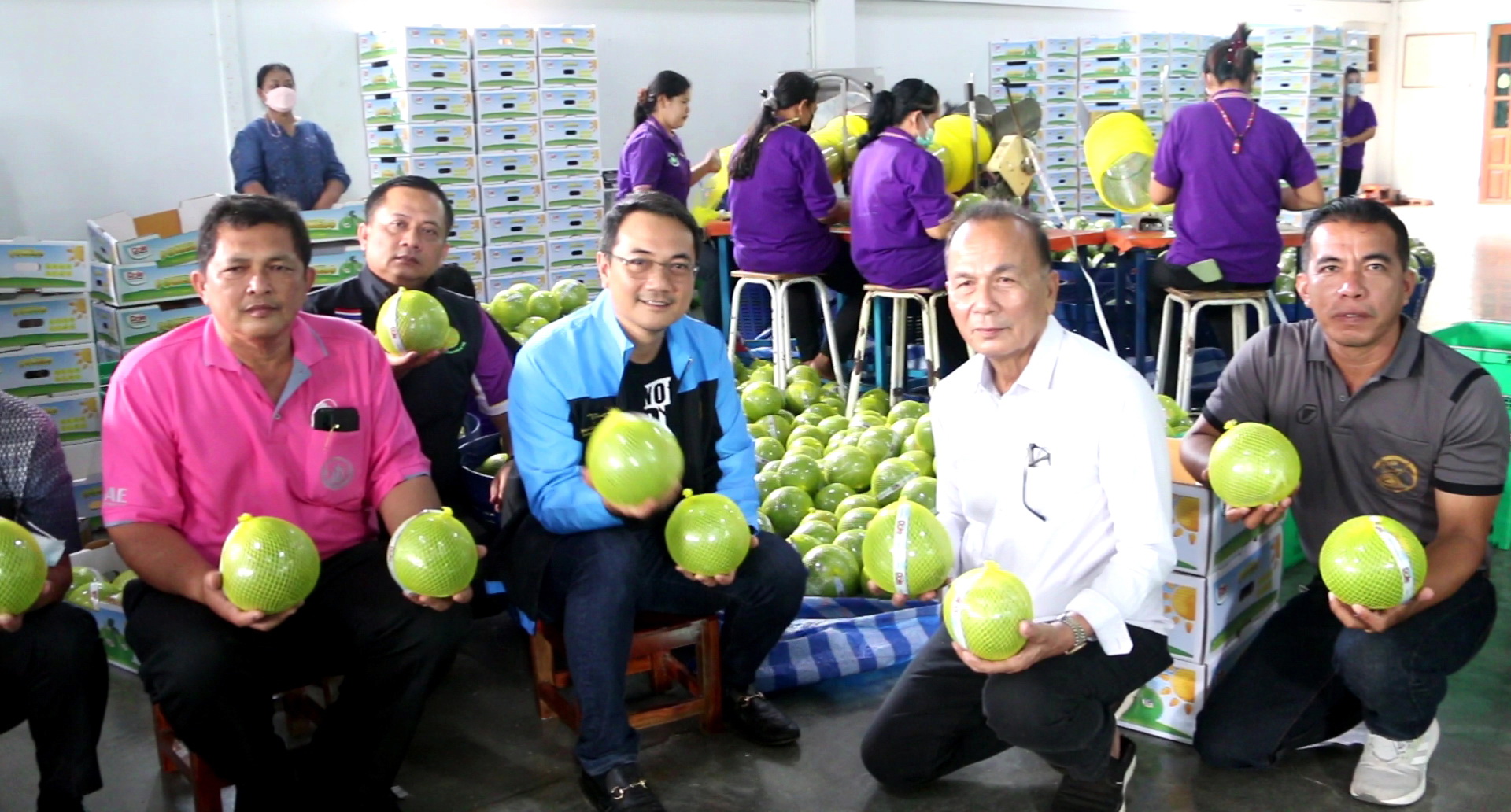 ส้มโอท่าข่อยพิจิตรโกอินเตอร์ชาวสวนวอนส.ส.นราพัฒน์ ปชป.ช่วยผลักดันGAP