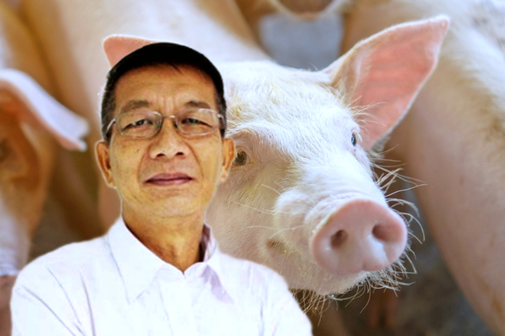 ค้านนำเข้าหมู!! ผู้เลี้ยงหมู ตรึงราคาหน้าฟาร์ม 110 บาท 