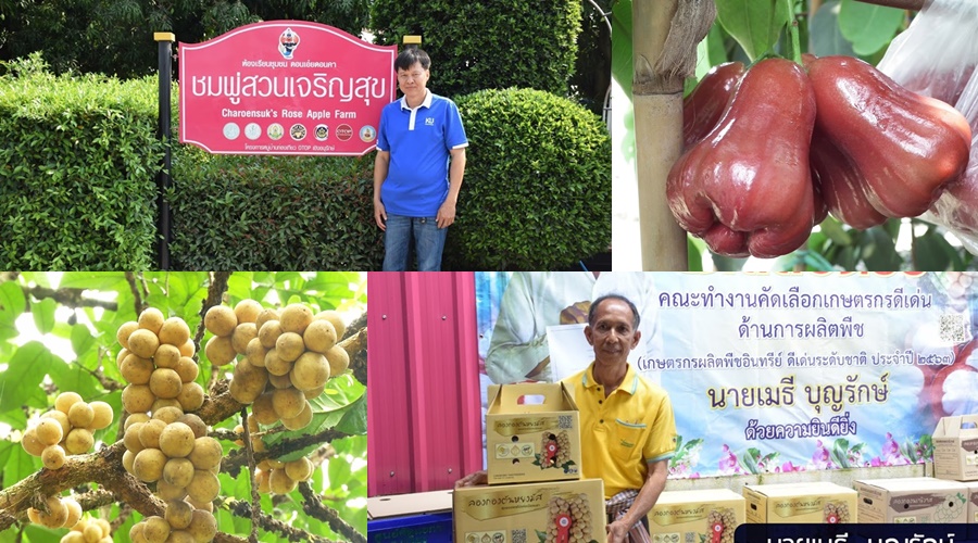 เกษตรกรนราธิวาส-ราชบุรี คว้ารางวัลเกษตรกรดีเด่นแห่งชาติ