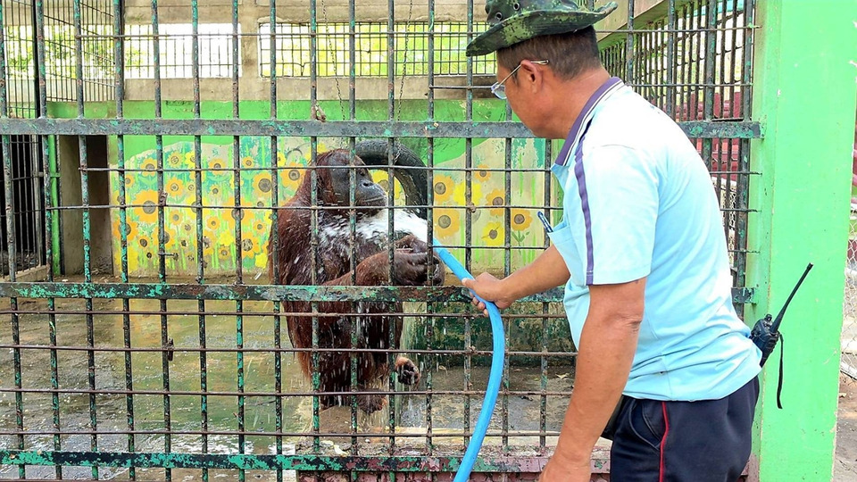 ลพบุรีเดือด! ร้อนทะลุ 40 องศา ลิงเครียดต้องฉีดน้ำ คนทำดินสอพองหนีแดดทำงานกลางคืน