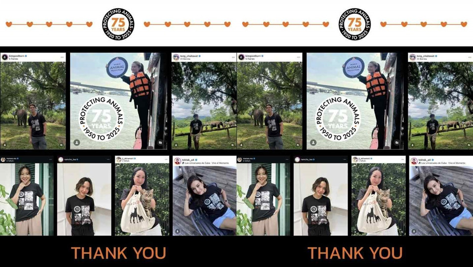 ดารา–คนดังรวมพลัง ส่งเสียงแทนสัตว์ไร้เสียง ฉลอง 75 ปี World Animal Protection กับแคมเปญ ‘Don’t Forget Them